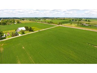 Property photo 8 - LAND AUCTION - 84+/- ACRES IN RUSH COUNTY, INDIANA